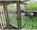 L'incubatrice artificiale ed il colore della scatola della crescita di pianta della macchina di germinazione dei semi di clima della camera di crescita della pianta di Liyi è blu